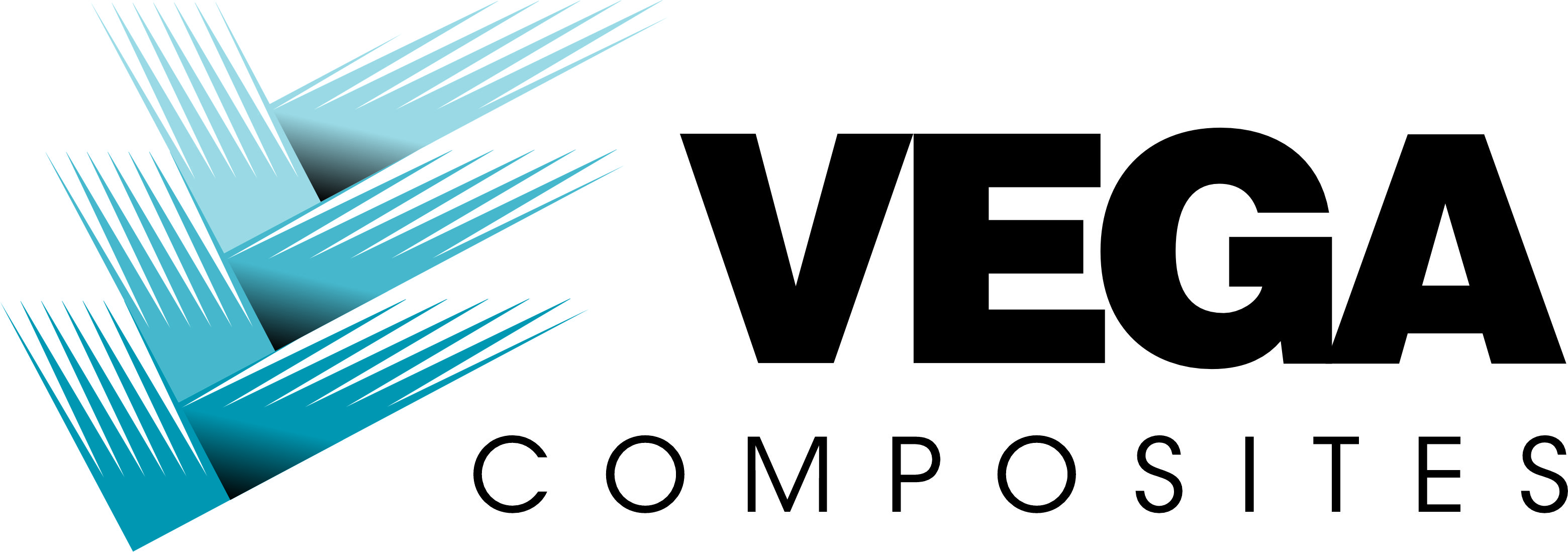 Vega Logo